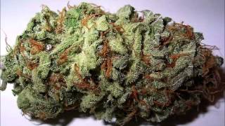 Snoop Dogg - Smoke Weed Everyday