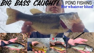 Cold water Connecticut FISHING for anything that bites! (HUGE BASS CAUGHT!)