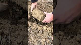 Extract box full of gold by metal detector #metaldetecting