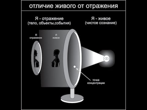 Видео: Разница между живым и живым