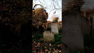 An Afternoon Stroll In The Cemetery