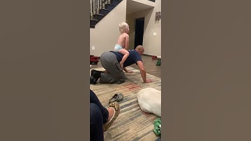 Bucking Bull With Amazing Dad Reflexes || ViralHog