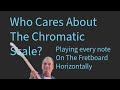 The Chromatic Scale  12 Frets On Each String: Horizontally (the x axis)