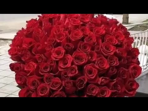بدأت قناة يوميات ماما حميدة غازي بث ا مباشر ا الحمدلله حمدا كثيرا طيبا مباركا فيه