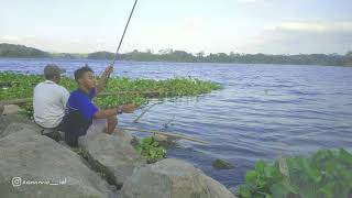 STORY WA | MANCING MANIA | BENDUNGAN KARANGKATES