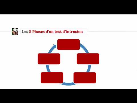 Vidéo: Quels sont les différents types de tests d'intrusion ?