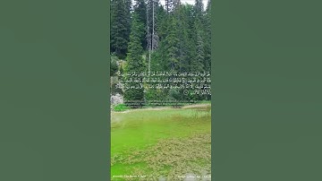 تلاوة عبد الرحمن مسعد(4)🎧🧡