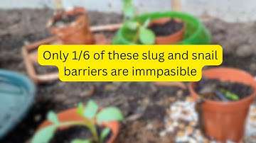Watch as 5 of 6 Slug Barriers Fail in This Video, don
