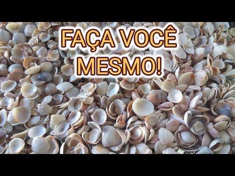 Vídeo: Como Fazer Artesanato De Conchas