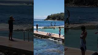 Discovering Fairy Bower Pool: Manly's Hidden Ocean Gem #manlybeach #beach #travel #FairyBowerPool