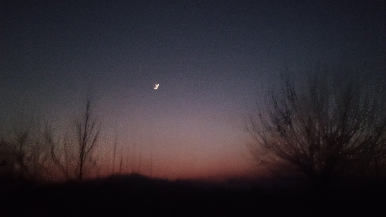 How to poultry in house /Poultry forming in house /