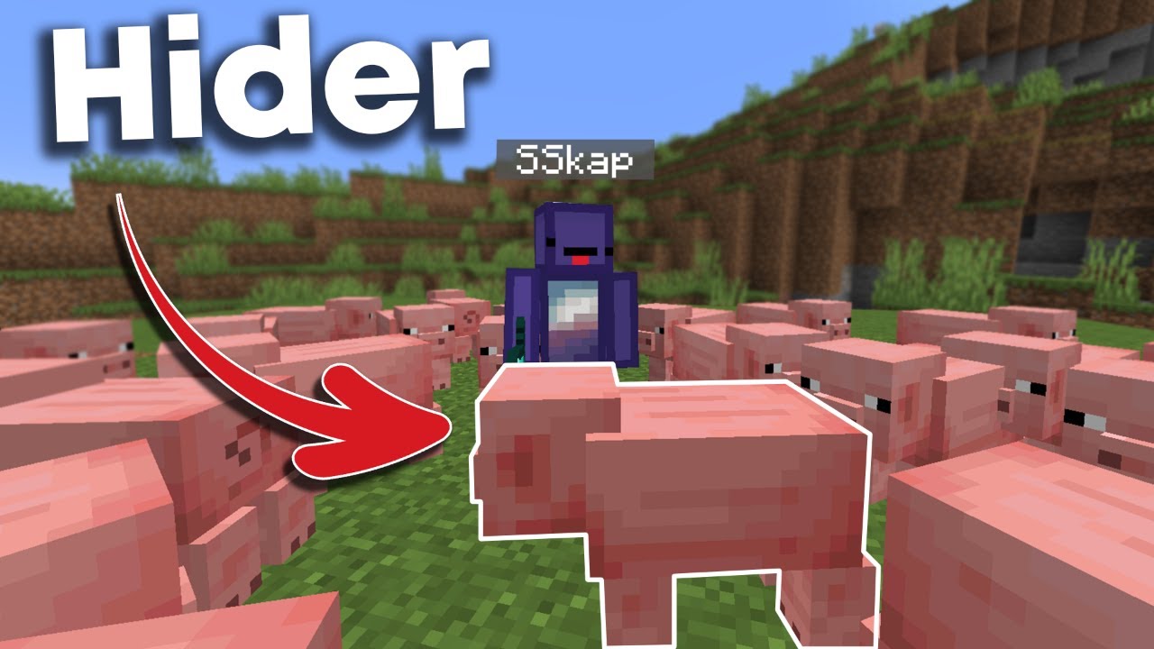 Minecraft Hide and Seek Just Got EXTREME...