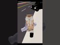Https Vt Tiktok Com ZSS1sh8n8 Https Vt Tiktok Com ZSS1sh8n8