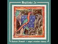 Labrat Nomad + angel cristian chavez - Malkaŝ' #music #esperanto #artist #singer #popmusic