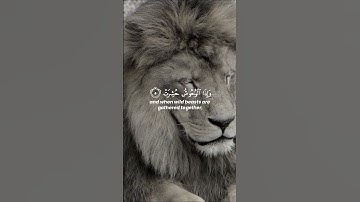 سورة التكوير (1-9) • احمد خضر❤️ #قرآن