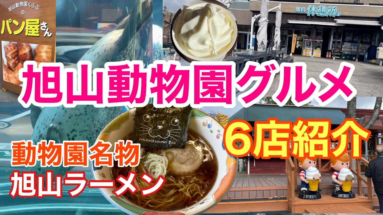旭山動物園グルメ 旭山ラーメン 旭川 Asahiyama Zoo Youtube