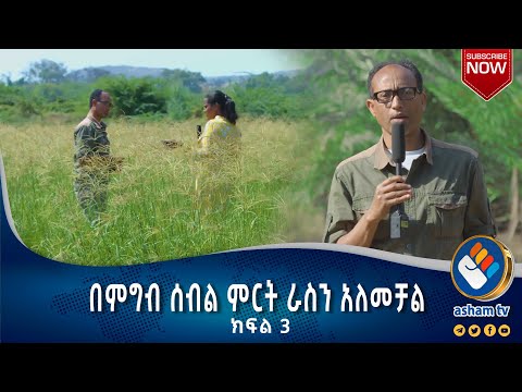 ቪዲዮ: ያጌጡ ጥንቸሎች፡ የዕድሜ ልክ እና የእስር ሁኔታዎች