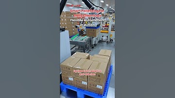 Smart Palletizing for Daily Chemicals: Flexible Automation in Action