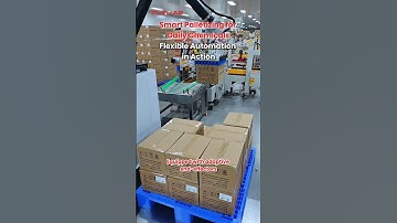 Smart Palletizing for Daily Chemicals: Flexible Automation in Action