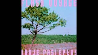 Flash Voyage ~ Odoje Paslėptas chords