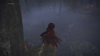 A Very Specific Elden Ring Invasion