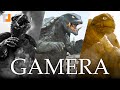 The History and Evolution of Gamera