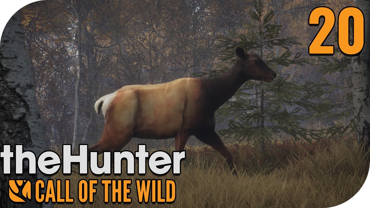 The Hunter Call Of The Wild Rangemaster 338