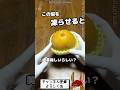 コレは１度、試して欲しい！！