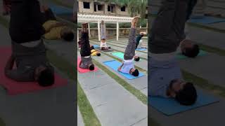 Sirsasana &amp; Sarvangasana | Meditation and Yoga Session | Anil Kumar MDNIY