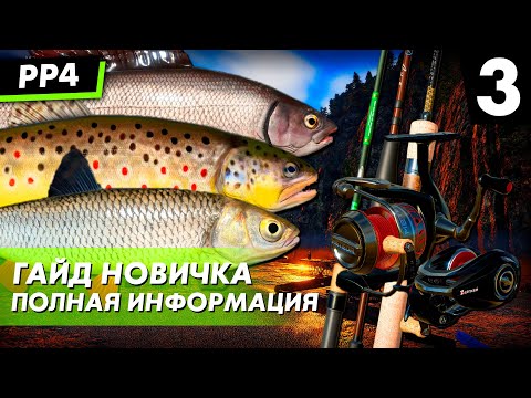 Видео: Гайд для новичков - Часть 3 Спиннинг Русская Рыбалка 4