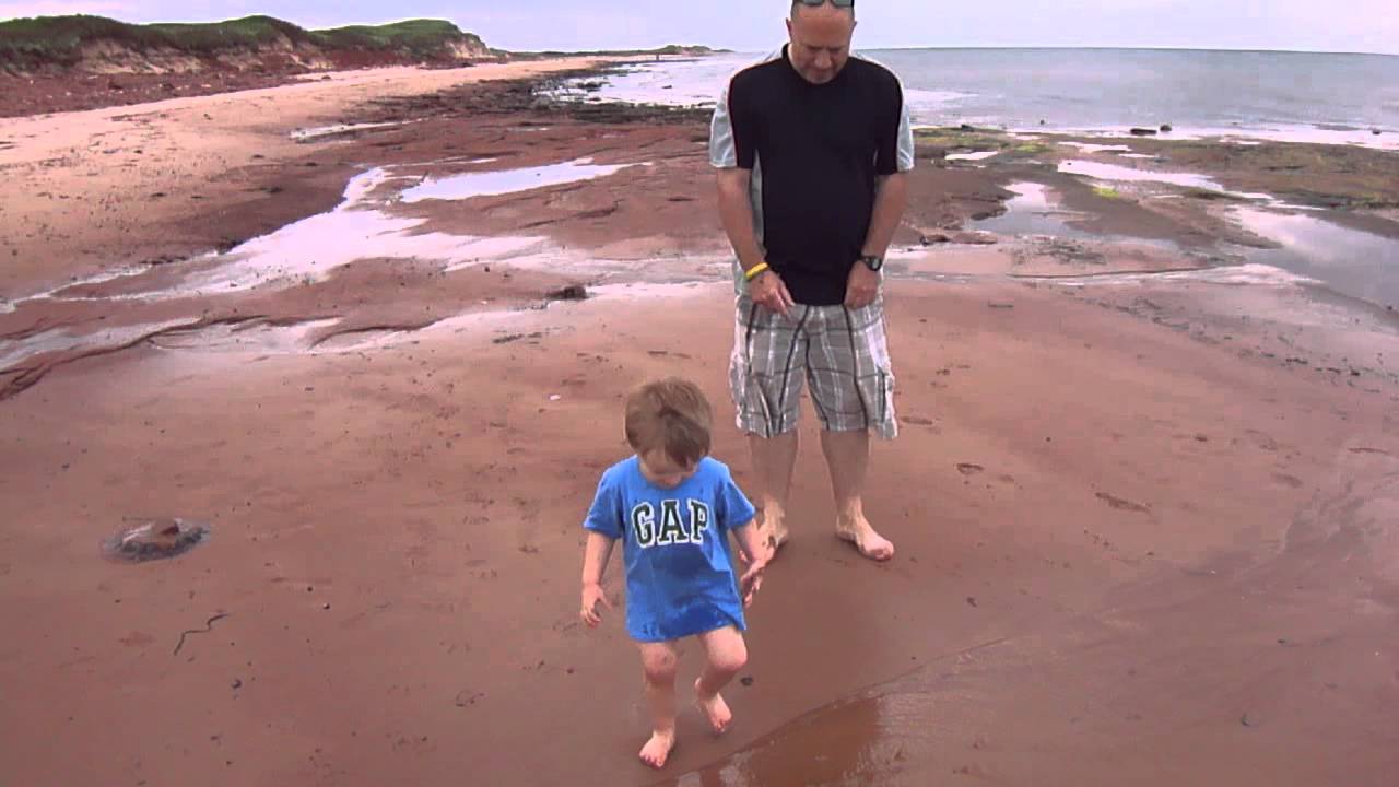 Finn at Cable Head, PEI YouTube
