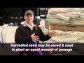 Plant Variety Protection (6/21/14) Mp3 Song