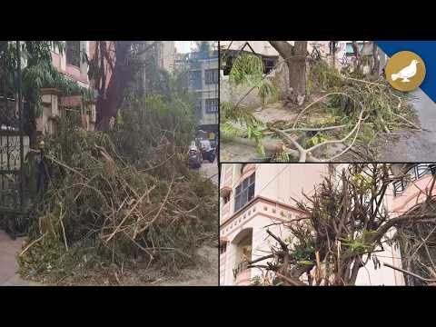 Tree trimming by TGSPDCL leaves branches and debris piled up in Nampally constituency - SIASAT