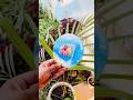 Resin art #youtubeshorts #trending #resin #gift #love #smallbusiness #gift #youtube #photography