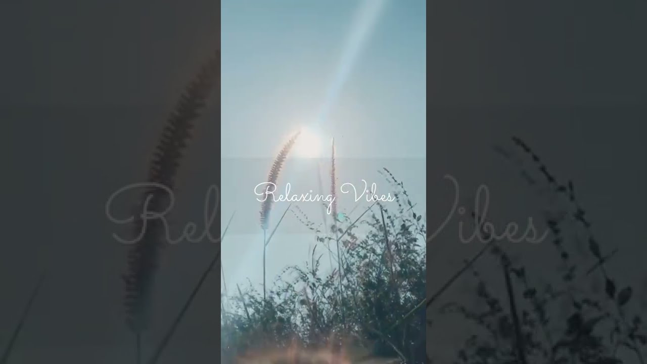 Simply Rest Your Mind And Disconnect Shorts Vibes Chill
