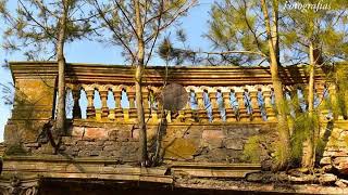 Foto Vídeo 😍Coronel Arnold😍