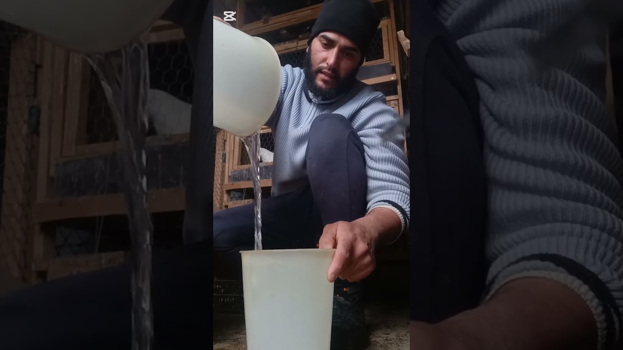 علاج مرض السالمونيلا القاتل الحمد الله الحالة مزيانة من بعد العلاج 