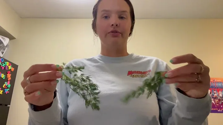 Multicultural Foods Video - Salmon