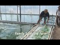 Family Spirulina Algae Farm in France