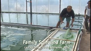 Family Spirulina Algae Farm in France