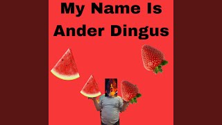 My Name Is Ander Dingus