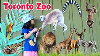 Toronto Zoo #2 | Sở Thú Toronto | Khám phá vườn thú Toronto | Du lịch Canada tự túc cùng trẻ em