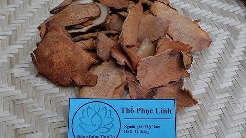 THỔ PHỤC LINH Vị thuốc hay trị bệnh Gout, đau nhức xương khớp