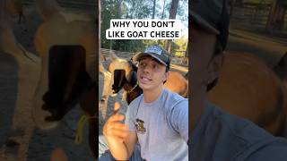 Why Goat Cheese CAN Taste Bad