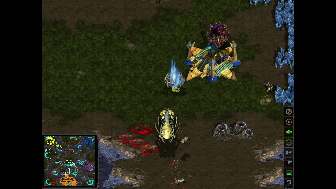 Brood War The Hunters: This is an open war!