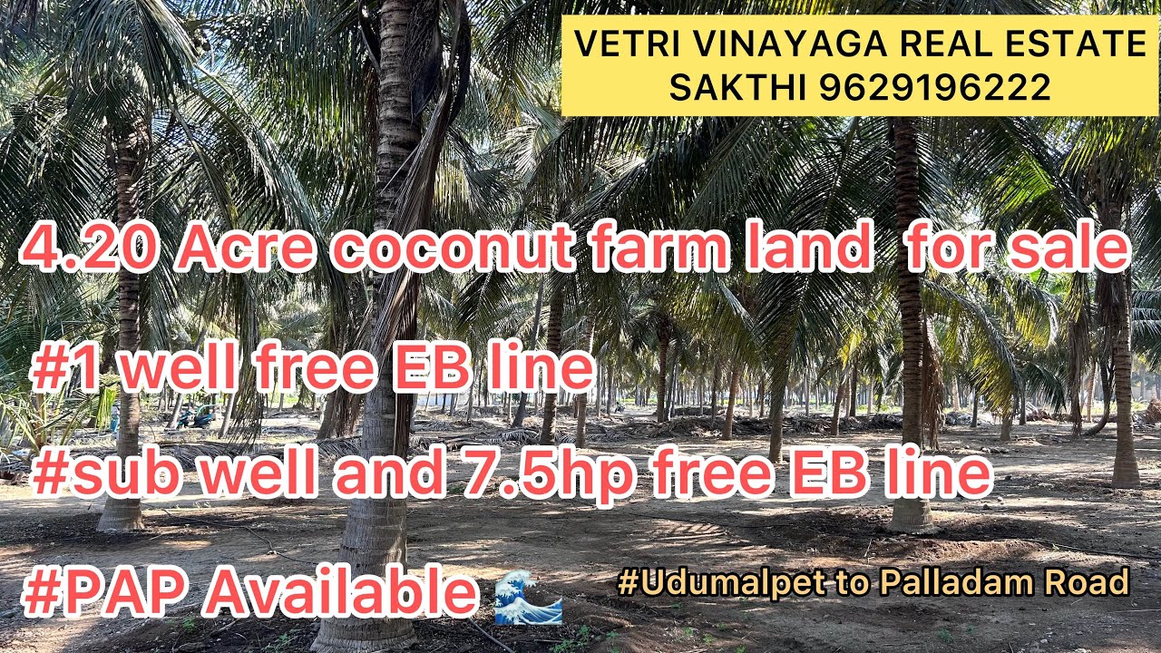 [58] 4.20 Acre coconut 🌴 farm land for sale 1 well free EB line Palladam to Udumalpet Road