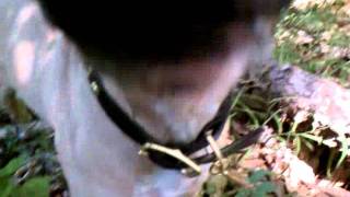 VIDEO0080.3gp