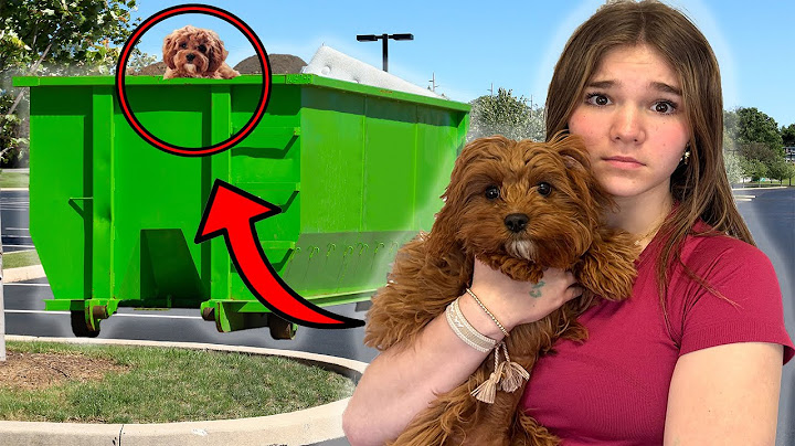Missing Puppy Found In A Dumpster!