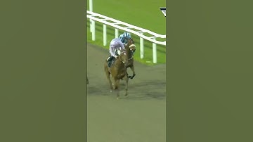 Odds-on favourite Concorde beaten in dramatic circumstances at Chelmsford