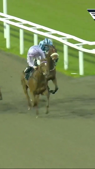 Odds-on favourite Concorde beaten in dramatic circumstances at Chelmsford